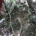 DSC03923_調整大小.JPG