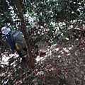DSC03927_調整大小.JPG