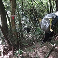 DSC03931_調整大小.JPG