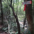DSC03932_調整大小.JPG