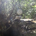 DSC03934_調整大小.JPG