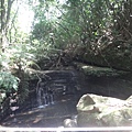 DSC03935_調整大小.JPG