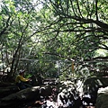 DSC03939_調整大小.JPG