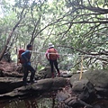 DSC03938_調整大小.JPG