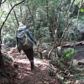 DSC03941_調整大小.JPG