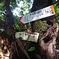 DSC04328_調整大小.JPG