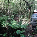 DSC04333_調整大小.JPG