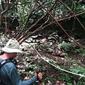 DSC04336_調整大小.JPG