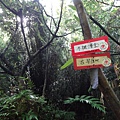 DSC04331_調整大小.JPG
