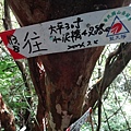 DSC04337_調整大小.JPG