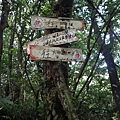DSC04342_調整大小.JPG