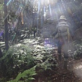 DSC04343_調整大小.JPG