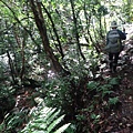 DSC04346_調整大小.JPG