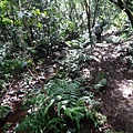 DSC04348_調整大小.JPG