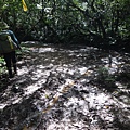 DSC04350_調整大小.JPG