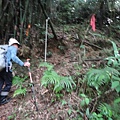 DSC04352_調整大小.JPG