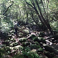 DSC04366_調整大小.JPG
