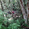DSC04364_調整大小.JPG