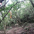 DSC04371_調整大小.JPG