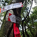 DSC04372_調整大小.JPG