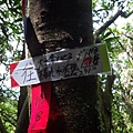 DSC04373_調整大小.JPG