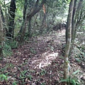 DSC04382_調整大小.JPG