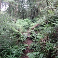 DSC04389_調整大小.JPG