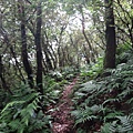 DSC04393_調整大小.JPG