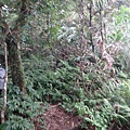 DSC04391_調整大小.JPG