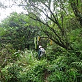 DSC04394_調整大小.JPG