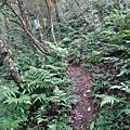 DSC04395_調整大小.JPG