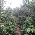 DSC04399_調整大小.JPG