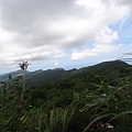 DSC04413_調整大小.JPG