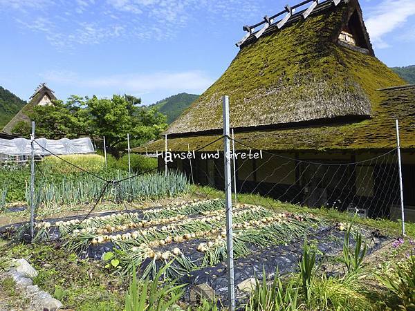 京都日式建築