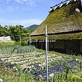 京都日式建築