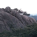 高山上的風景