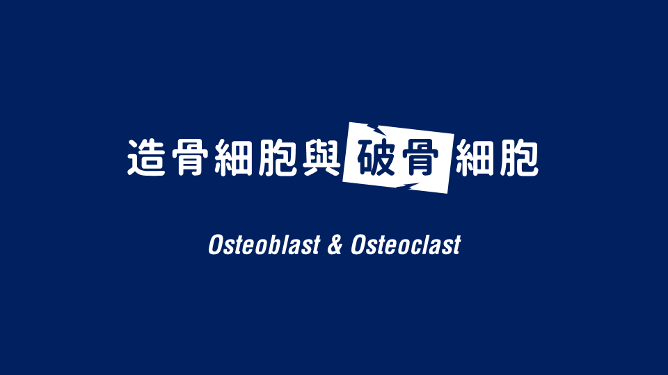 投影片2.PNG