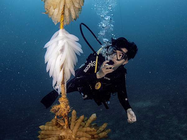 Long Dong (Dragon caves) Snorkeling Experience - Ofucos 歐夫寇斯