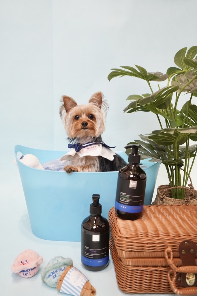 寵物洗毛精/貓狗沐浴乳/狗狗貓咪洗毛精