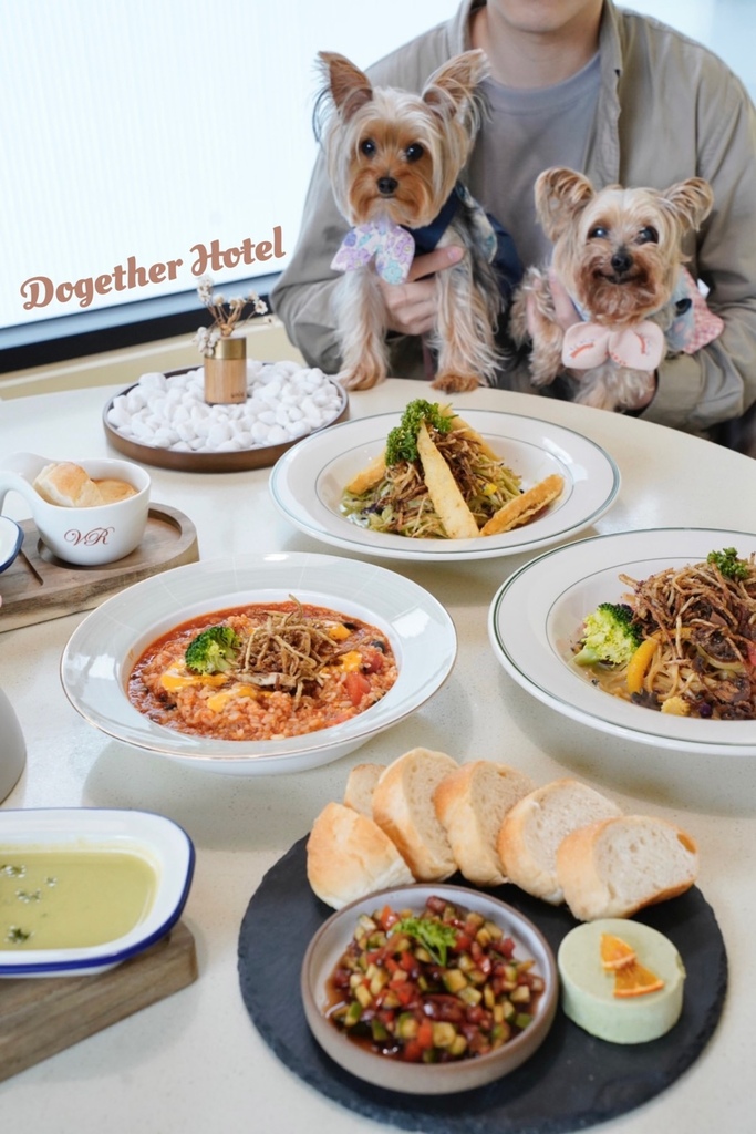 多野樂旅館 Dogether Hotel 餐廳 蔬食料理 狗狗餐廳 寵物旅館 寵物游泳池 高雄寵物旅館 