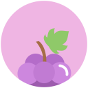 grapes-icon08.png grapes-icon08.png