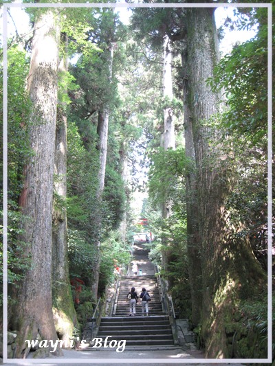 箱根神社石階.jpg