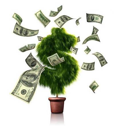 money-tree.jpg