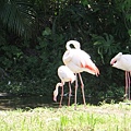 20120901木柵動物園