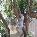 20120901木柵動物園