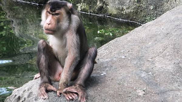 20120901木柵動物園