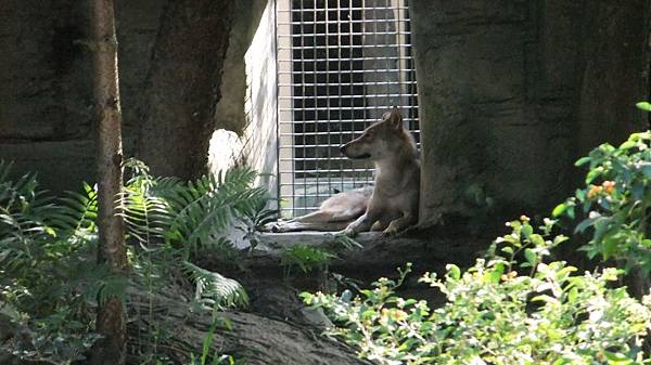 20120901木柵動物園