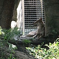 20120901木柵動物園