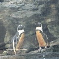 20120901木柵動物園