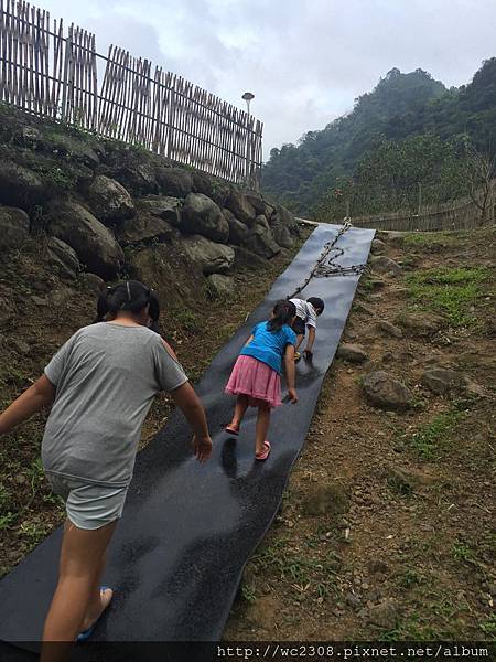 IMG_0737.JPG IMG_0737.JPG